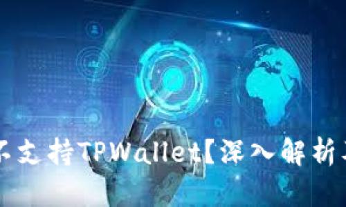 为什么中国不支持TPWallet？深入解析及背后的原因