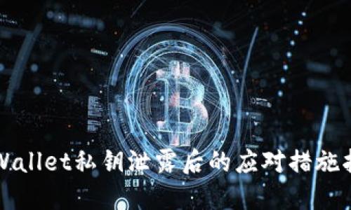TPWallet私钥泄露后的应对措施指南