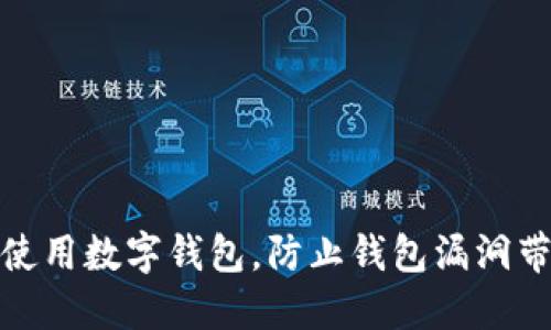 如何安全使用数字钱包，防止钱包漏洞带来的风险