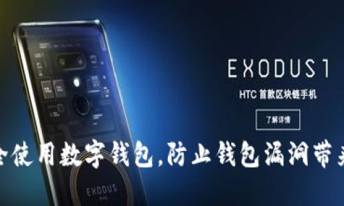 如何安全使用数字钱包，防止钱包漏洞带来的风险