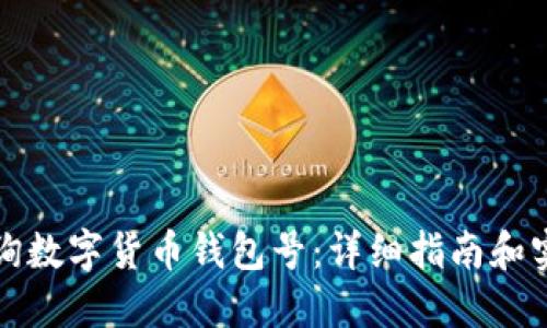 如何查询数字货币钱包号：详细指南和实用技巧