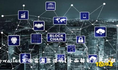 tpwallet里的盲盒靠谱吗？全面解析与风险提示