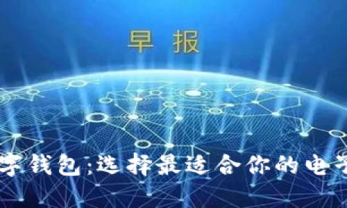 出名的数字钱包:选择最适合你的电子钱包指南