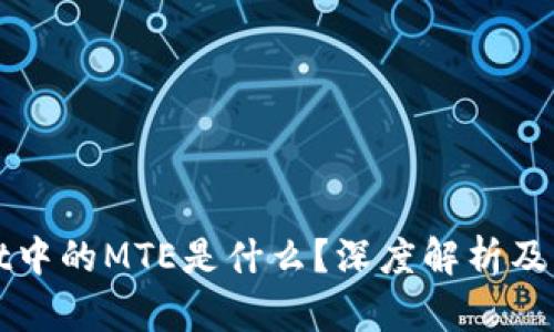 TPWallet中的MTE是什么？深度解析及应用场景