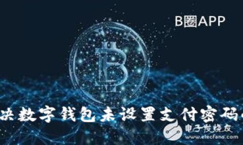 如何解决数字钱包未设置支付密码的问题?