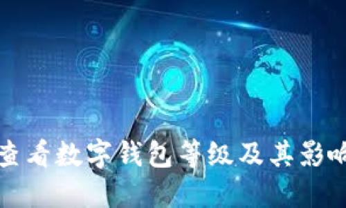 如何查看数字钱包等级及其影响因素