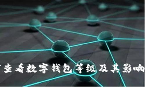 如何查看数字钱包等级及其影响因素