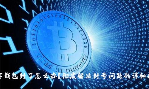 数字钱包封了怎么办?彻底解决封号问题的详细指南