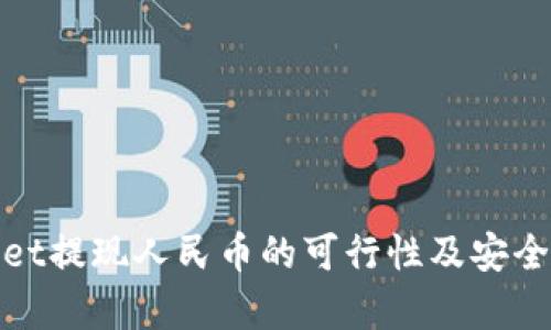 tpwallet提现人民币的可行性及安全性分析