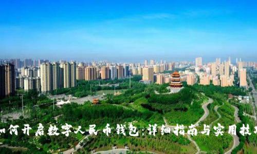 如何开启数字人民币钱包：详细指南与实用技巧