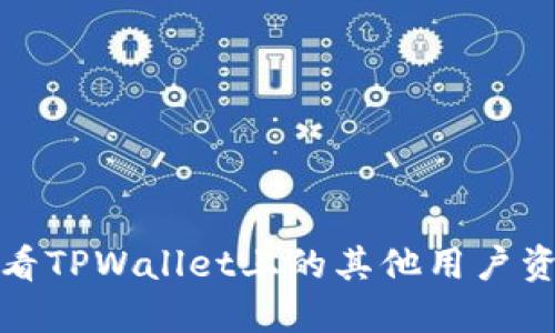 如何查看TPWallet上的其他用户资产信息