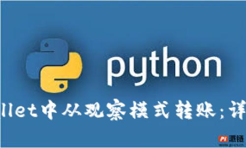 如何在TP Wallet中从观察模式转账：详细步骤与技巧