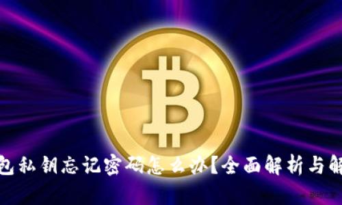 数字钱包私钥忘记密码怎么办?全面解析与解决方案