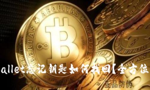 TPWallet忘记钥匙如何找回?全方位指南