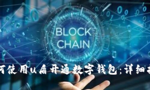 如何使用u盾开通数字钱包:详细指南