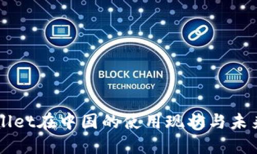 TPWallet在中国的使用现状与未来展望