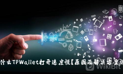 为什么TPWallet打开速度慢?原因及解决方案详解