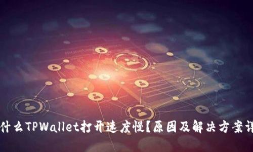 为什么TPWallet打开速度慢?原因及解决方案详解