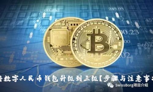 如何将数字人民币钱包升级到三级？步骤与注意事项详解
