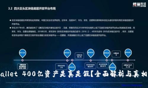 TPWallet 400亿资产是真是假?全面解析与真相揭示