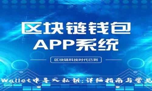 如何在TPWallet中导入私钥:详细指南与常见问题解答