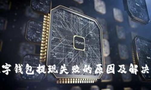 : 数字钱包提现失败的原因及解决方法