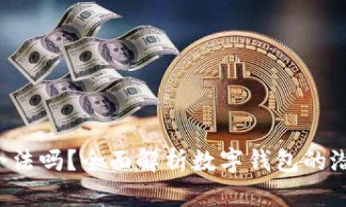 Topay数字钱包合法吗？全面解析数字钱包的潜在风险与合规性