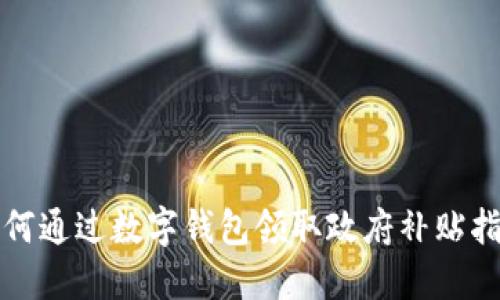 如何通过数字钱包领取政府补贴指南