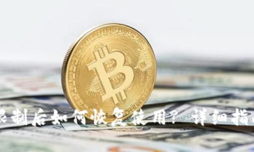 TPWallet被限制后如何恢复使用? 详细指南与解决方案