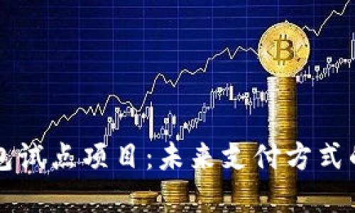 福州数字钱包试点项目:未来支付方式的变革与展望