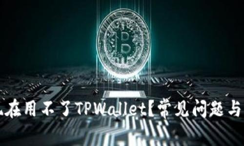 为什么现在用不了TPWallet?常见问题与解决方案