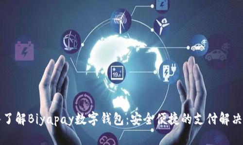 深入了解Biyapay数字钱包:安全便捷的支付解决方案
