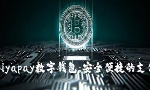 深入了解Biyapay数字钱包:安全便捷的支付解决方案