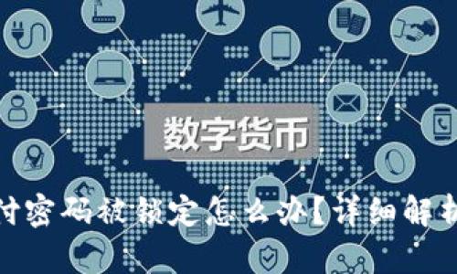 数字钱包支付密码被锁定怎么办？详细解析及安全建议