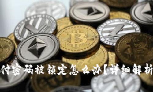 数字钱包支付密码被锁定怎么办？详细解析及安全建议