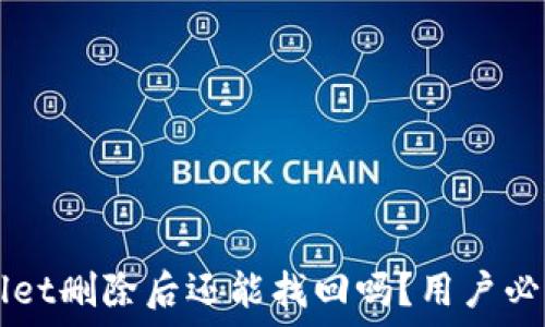 TPWallet删除后还能找回吗?用户必读指南