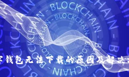 数字钱包无法下载的原因及解决方案