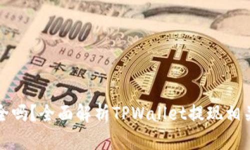 TPWallet取款安全吗？全面解析TPWallet提现相关风险与安全措施