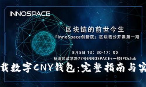 如何下载数字CNY钱包:完整指南与实用技巧