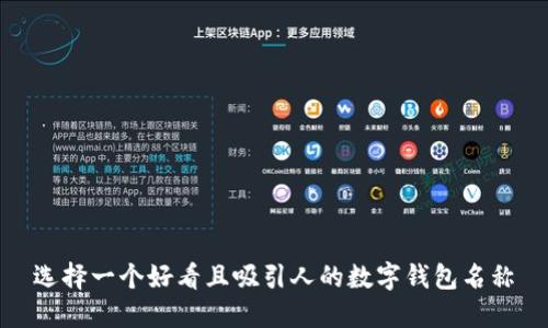 选择一个好看且吸引人的数字钱包名称