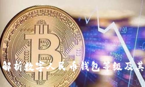 全面解析数字人民币钱包等级及其功能