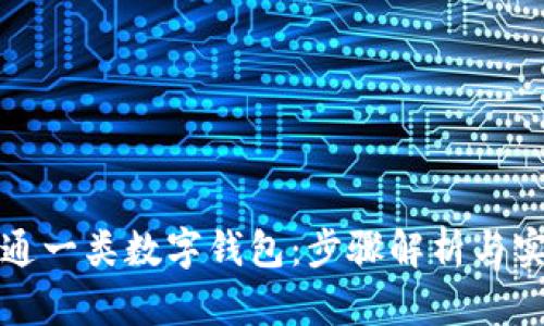 如何开通一类数字钱包:步骤解析与实用技巧