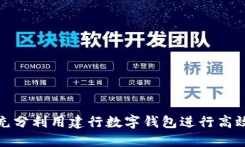 如何充分利用建行数字钱包进行高效收款