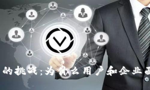 数字钱包的挑战:为什么用户和企业面临困难?