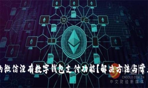为什么我的微信没有数字钱包支付功能?解决方法与常见问题解答