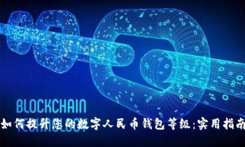 如何提升您的数字人民币钱包等级:实用指南