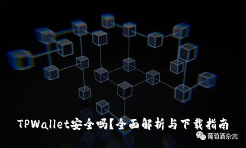TPWallet安全吗？全面解析与下载指南