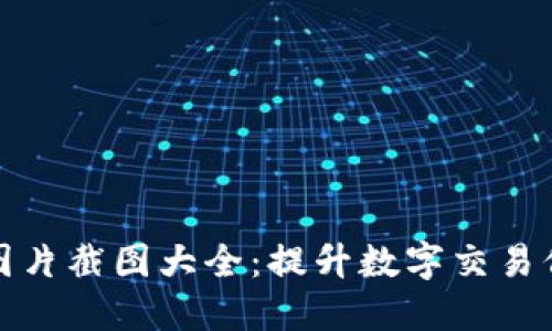 数字钱包余额图片截图大全：提升数字交易信心的最佳指南
