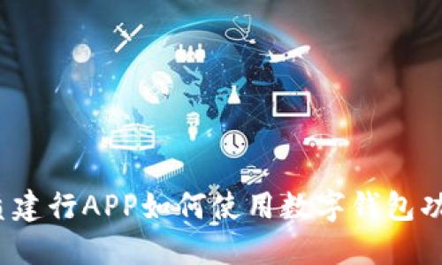 优质建行APP如何使用数字钱包功能?