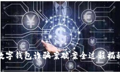 数字钱包诈骗案破案全过程揭秘
